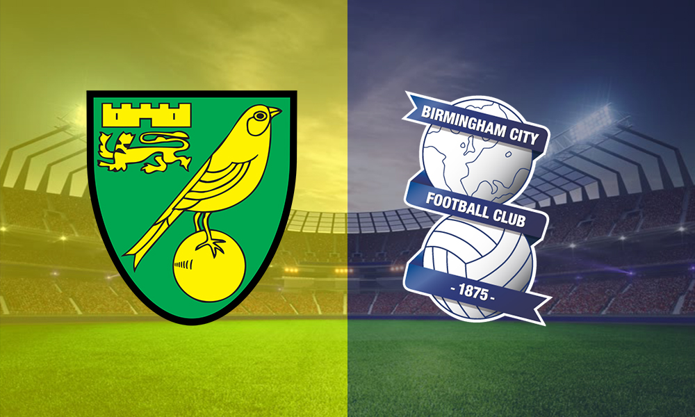 Norwich v Birmingham  Score Survivor